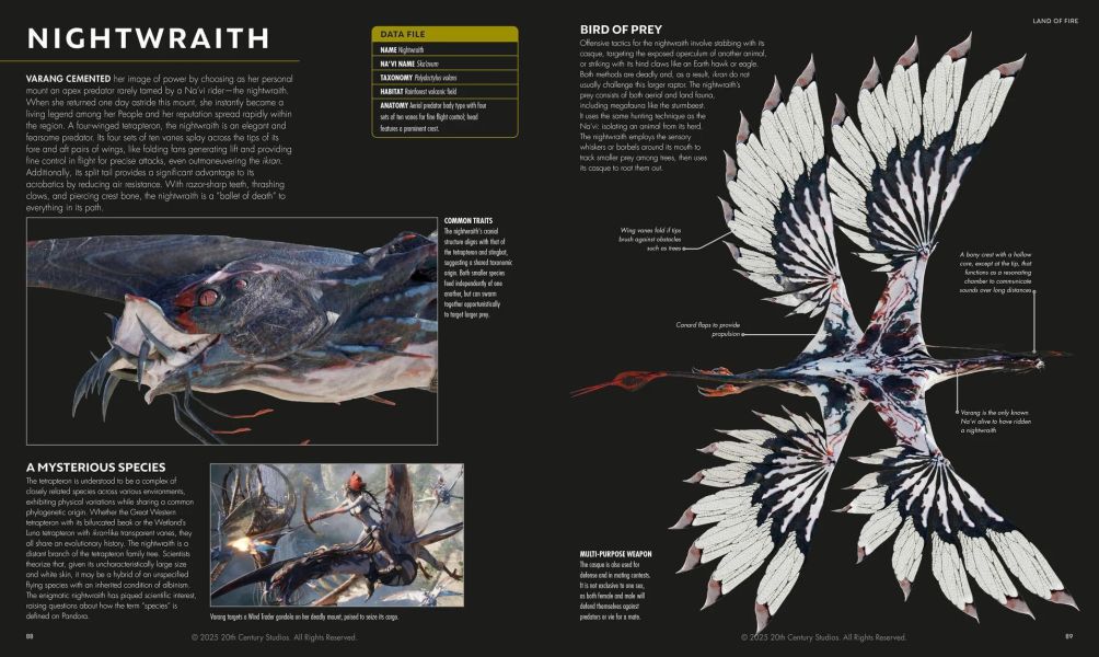 DK Avatar Fire and Ash The Visual Dictionary(阿凡達：火與燼 官方視覺大百科) 