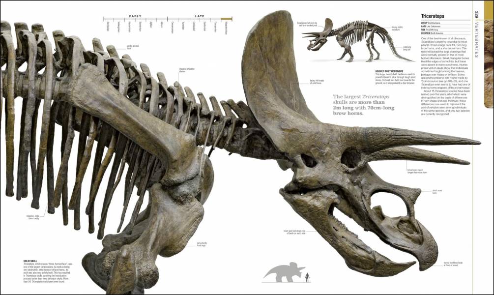 DK Dinosaurs and Prehistoric Life(恐龍與史前生物 2023年版) 