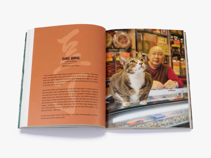 Shop Cats of Hong Kong(香港街頭的店鋪貓：巷弄裡的守財靈) 