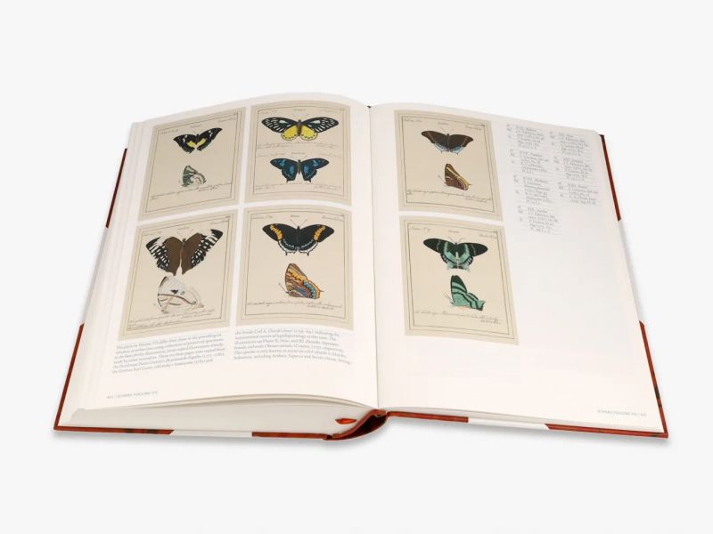 Iconotypes: A compendium of butterflies and moths. Jones’s Icones Complete (William Jones蝶蛾類插畫圖鑑) 