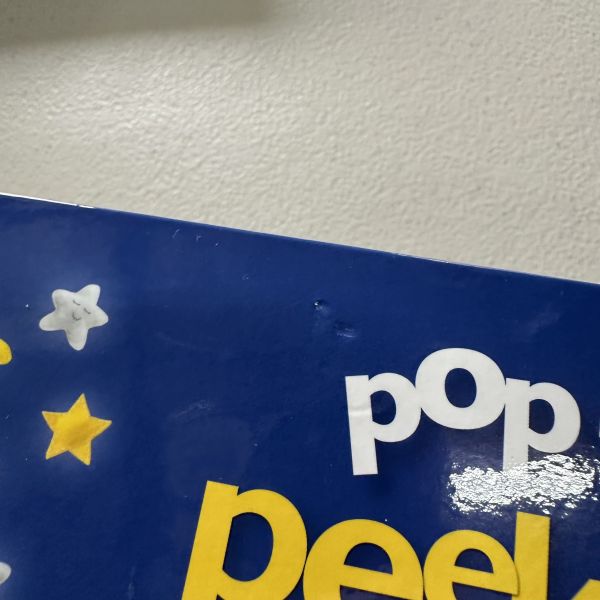 (微恙)DK Pop-Up Peekaboo! Bedtime (躲貓貓大翻頁立體書：該睡覺囉！) 