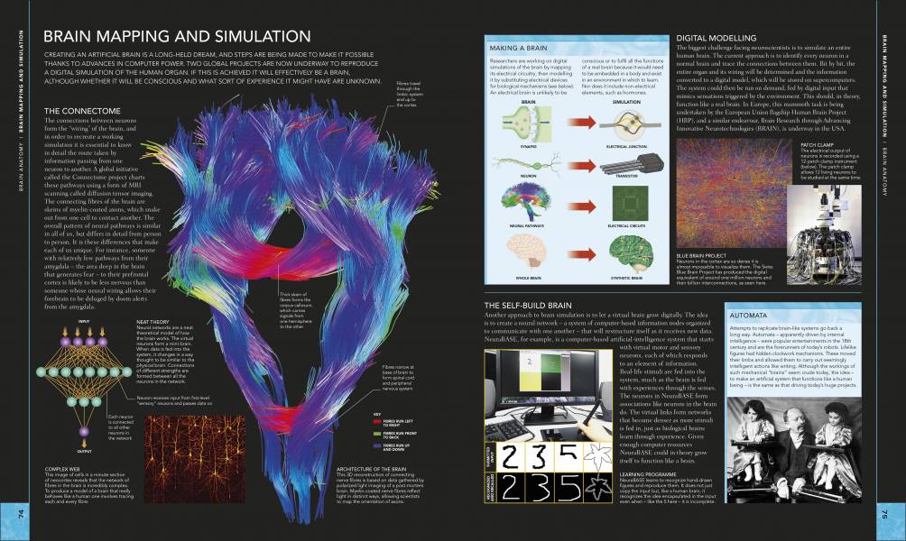 DK The Brain Book (大腦百科) 