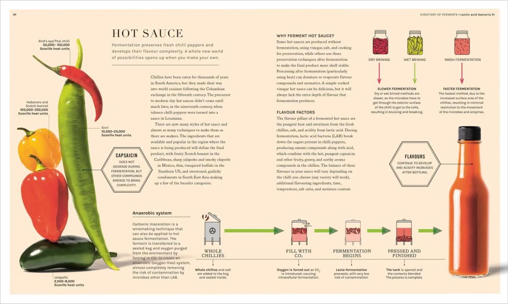 DK The Science of Fermentation(發酵的科學) 