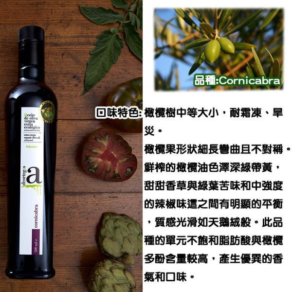 【伴手禮】 帝歐-柯尼卡布特級初榨冷壓橄欖油-500ml(紫標) 