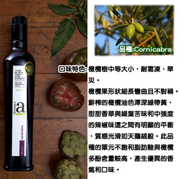 【伴手禮】 帝歐-柯尼卡布特級初榨冷壓橄欖油-250ml(紫標) 